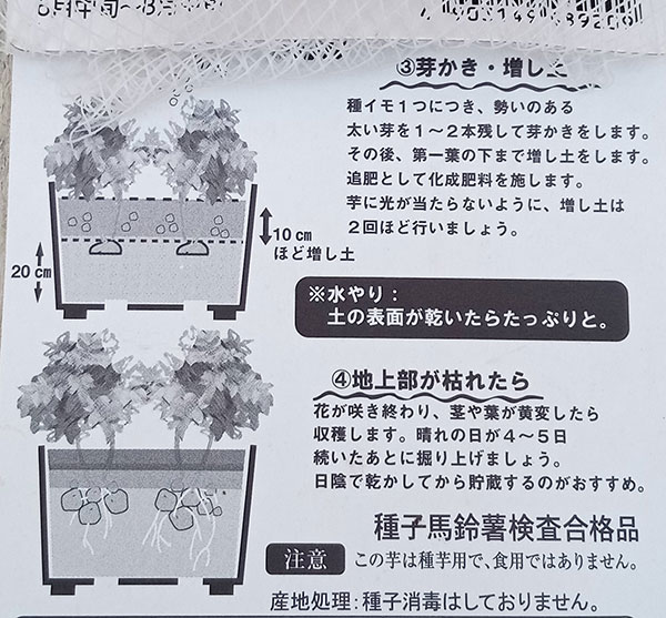 [27年1月中下旬予約]ジャガイモの種いも：メークイン2球