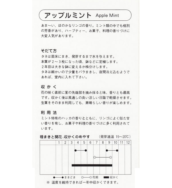 ミント：アップルミントの種[ハーブのタネ]