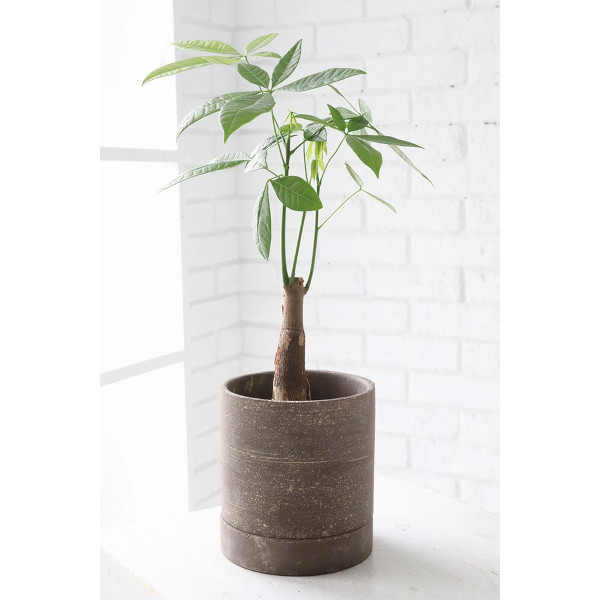 ダスク・シリンダーポットL:QY-54/(直径15cm×高さ14.5cm)