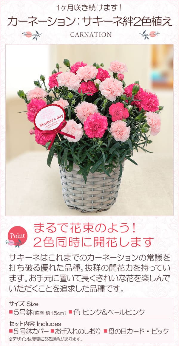 園芸ネット本店｜[送料無料][2023年遅れてごめんね 母の日ギフト