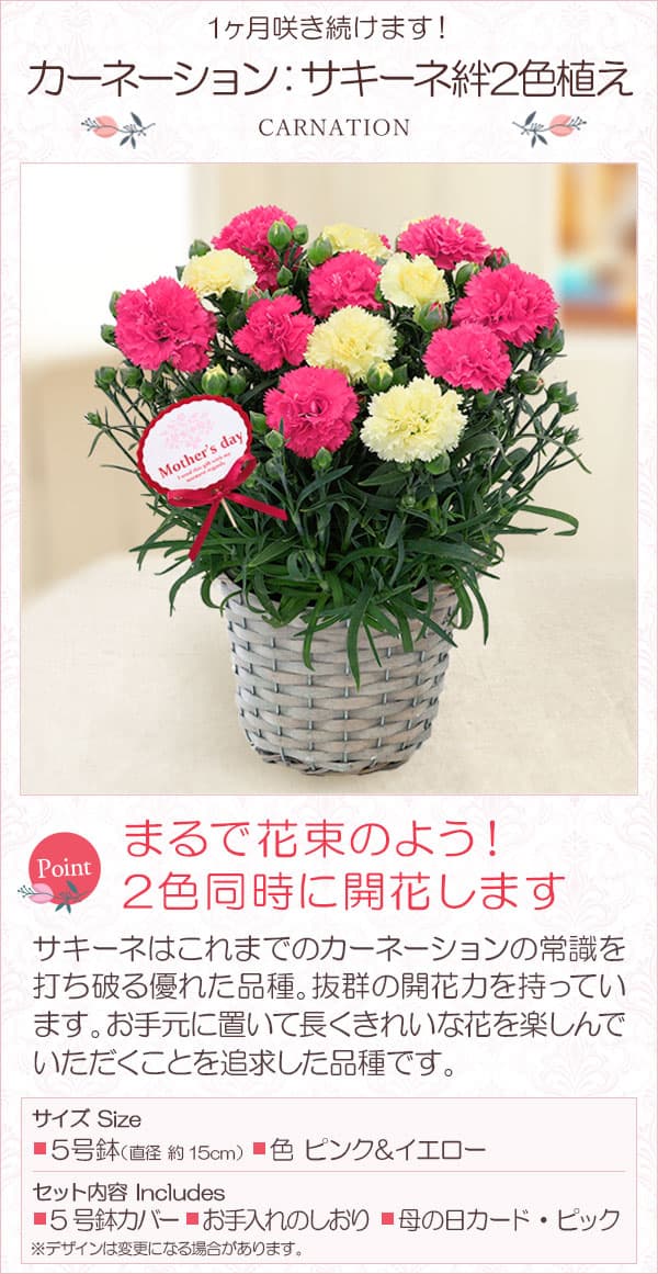 園芸ネット本店｜[送料無料][2023年遅れてごめんね 母の日ギフト