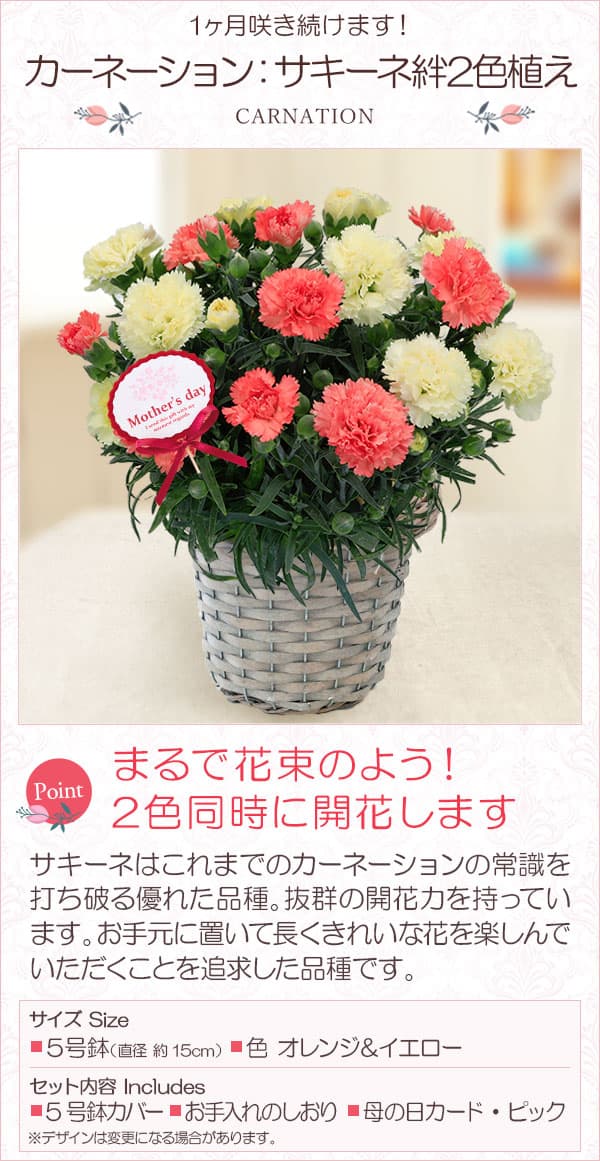 園芸ネット本店｜[送料無料][2023年遅れてごめんね 母の日ギフト