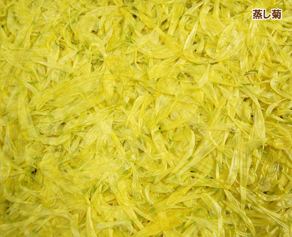 食用菊：阿房宮（あぼうきゅう・黄）3株植え4号ポット