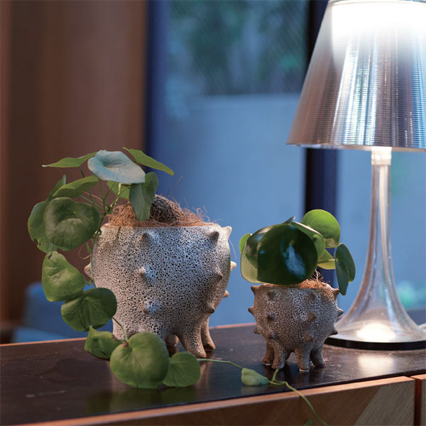 テオドラ18（直径18.5cm）（底穴なし）／41009