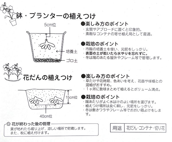 アルストロメリア：リグツリグツ1球
