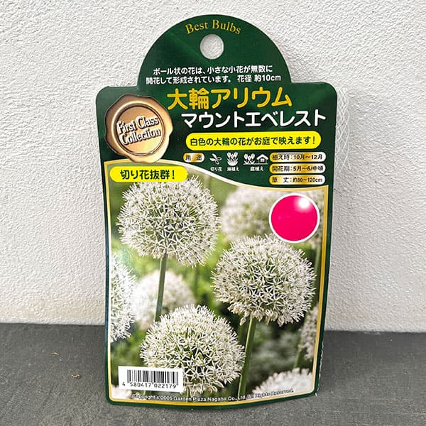 アリウム：マウントエベレスト1球入り