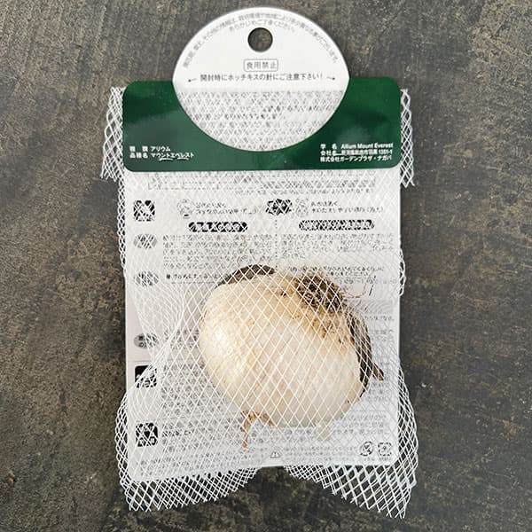 アリウム：マウントエベレスト1球入り