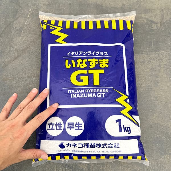 牧草種子：イタリアン いなずまGT 1kg[飼料用イタリアンライグラス タネ 秋まき（春まき適性あり）]