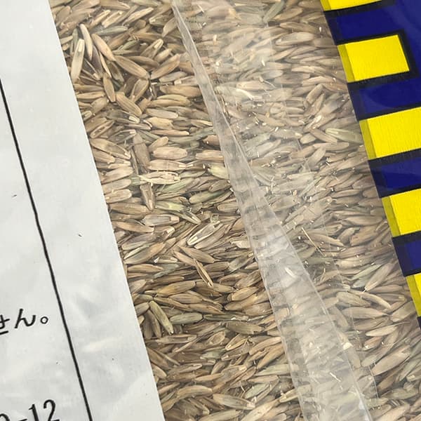牧草種子：イタリアン いなずまGT 1kg[飼料用イタリアンライグラス タネ 秋まき（春まき適性あり）]