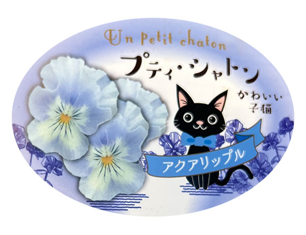 パンジー：プティシャトン　アクアリップル3～3.5号ポット 2株セット