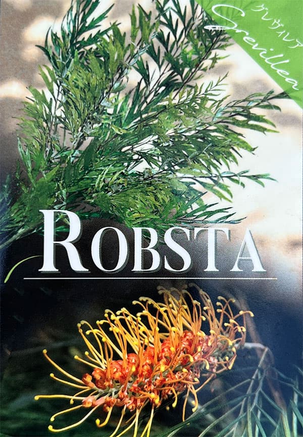 花がよく咲くグレビレア3種セット