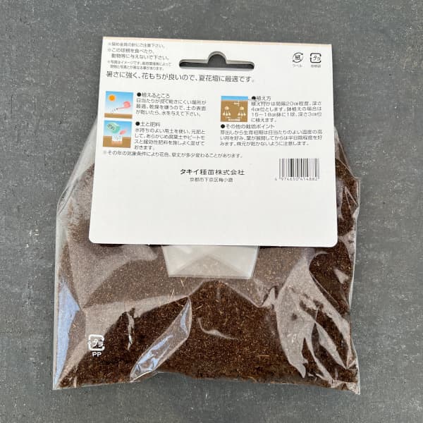 [26年3月中下旬予約]クルクマ：ホワイトジャスミン1球入り