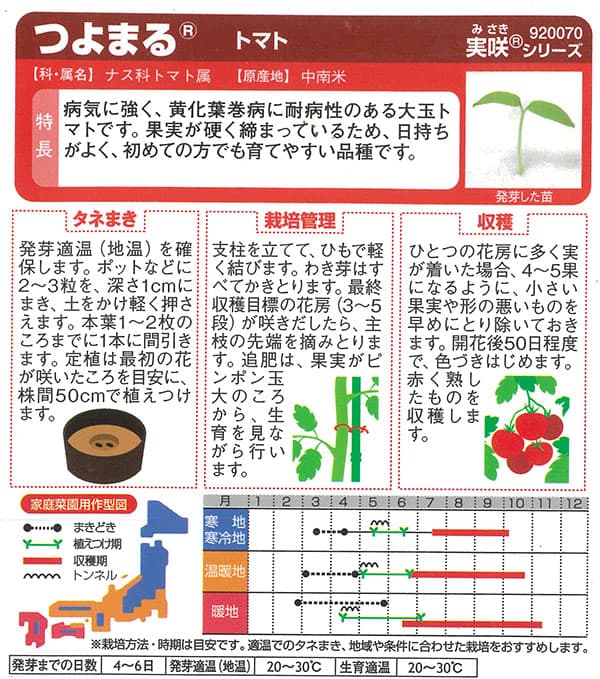 トマト：大玉トマト　つよまる 2袋セット[サカタ　野菜タネ　「おうち野菜」シリーズ]