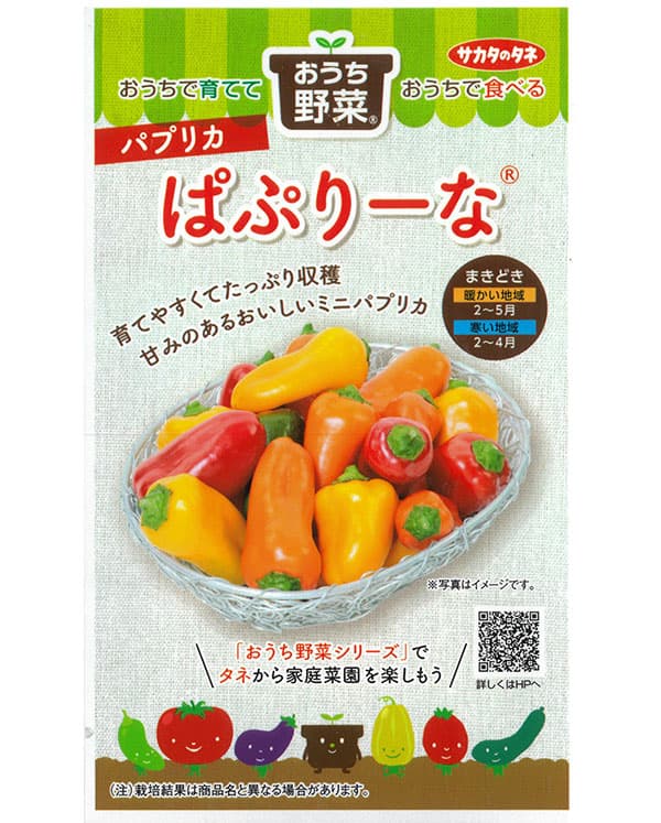 パプリカ：ぱぷりーな　の種 2袋セット[サカタ　野菜タネ　「おうち野菜」シリーズ]