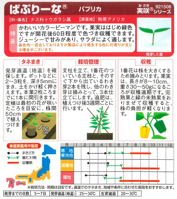 パプリカ：ぱぷりーな　の種 2袋セット[サカタ　野菜タネ　「おうち野菜」シリーズ]