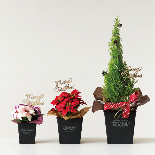 ピック:クリスマスフラワーピック-10/ウッド(XRI-FP10)