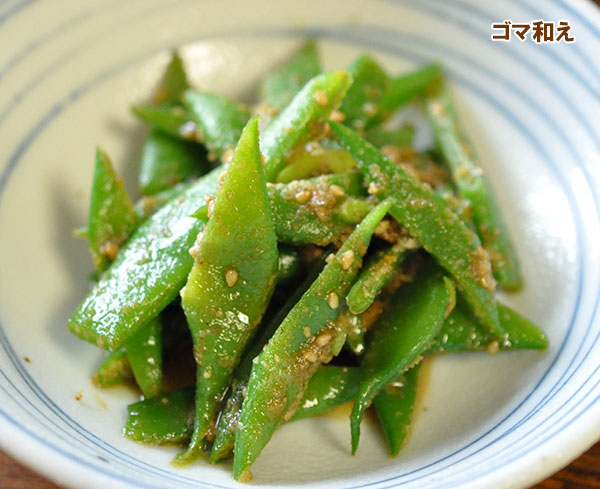 インゲン：つるありモロッコ(おためしパック)の種[約6粒　野菜タネ]