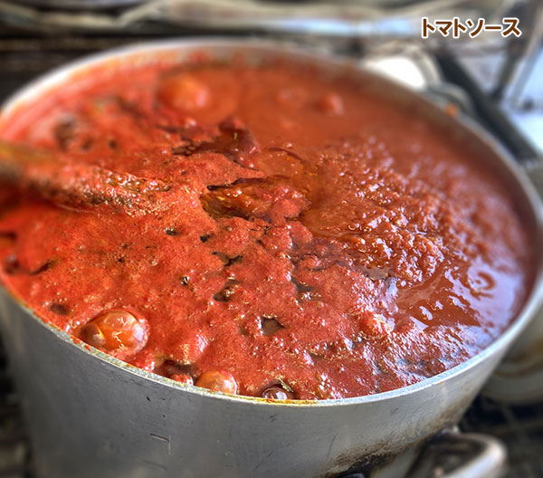 トマト：F1イタリアトマト　アモーレ[野菜タネ]