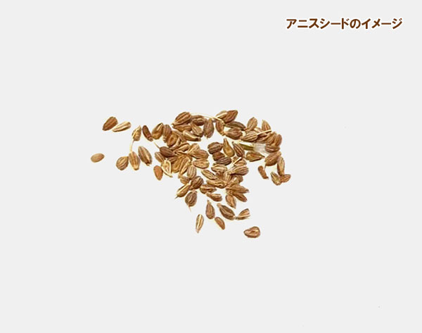 アニスの種[ハーブのタネ　春、秋まき]