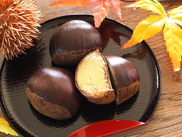 果樹の受粉樹セット：クリ（栗）ぽろたんとぽろすけ