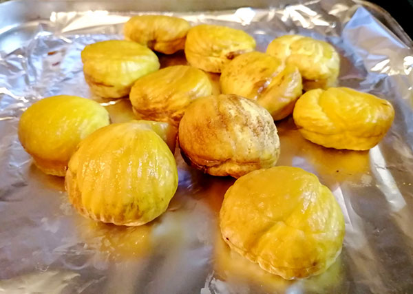 果樹の受粉樹セット：クリ（栗）ぽろたんとぽろすけ