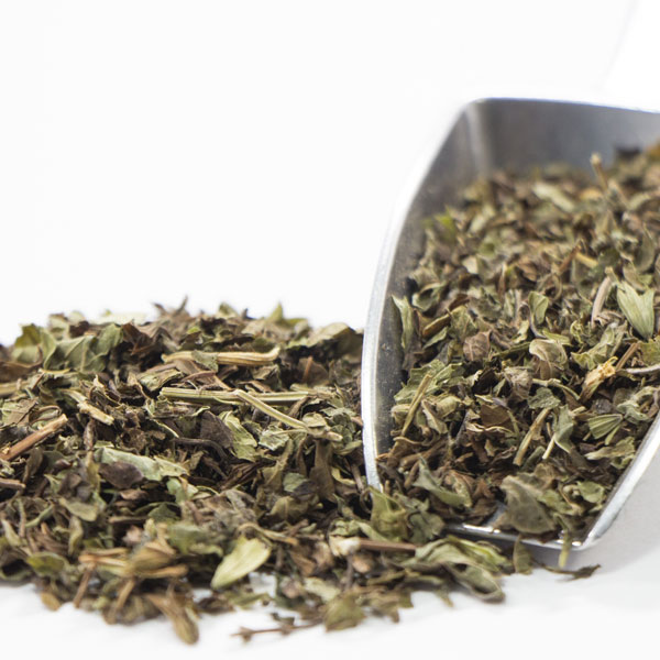 レモンバーム3-3.5号ポット