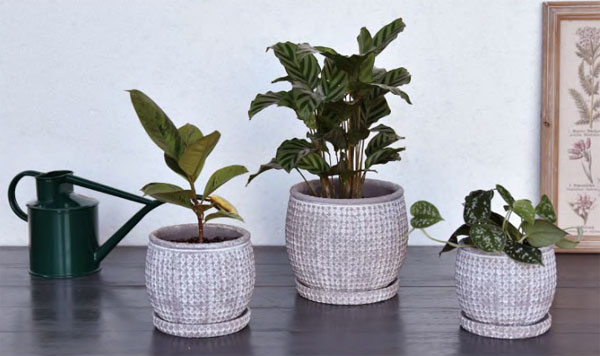 セメント鉢:エマーブルポット・ホワイトAM-7(幅14cm、高さ12cm)