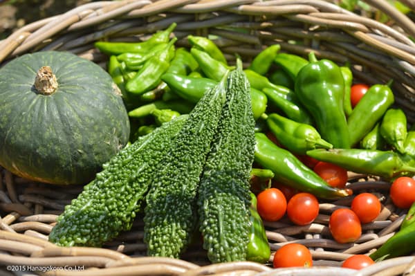 夏野菜の肥料400グラム入り(3-7-5)