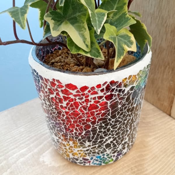 おまかせ観葉植物:エトワールガラス植え(赤) 3.5号
