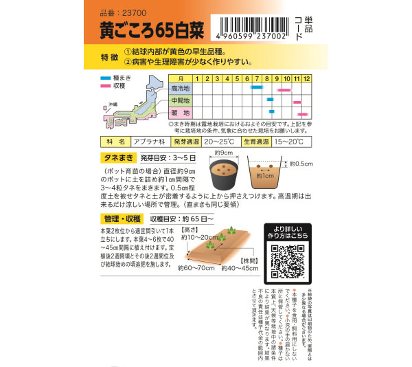 ハクサイ：タキイ交配 黄ごころ65白菜[野菜タネ　夏秋まき]