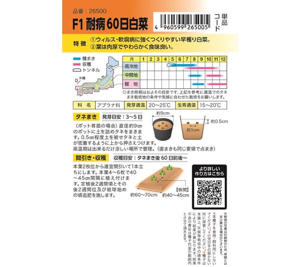 ハクサイ：F1耐病60日白菜[野菜タネ　夏秋まき]