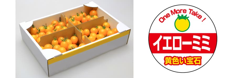 [送料無料](業務用・受注生産品)トマト：イエローミミ 100粒[野菜タネ]*