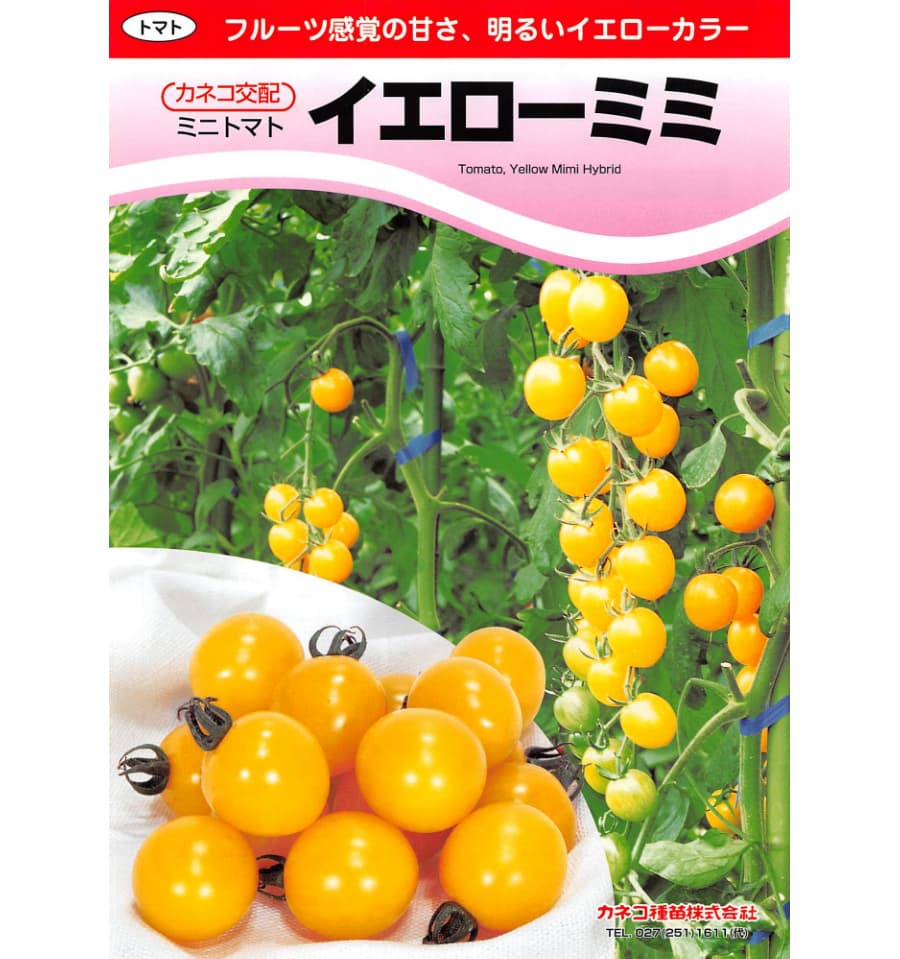 [送料無料](業務用・受注生産品)トマト：イエローミミ 100粒[野菜タネ]*