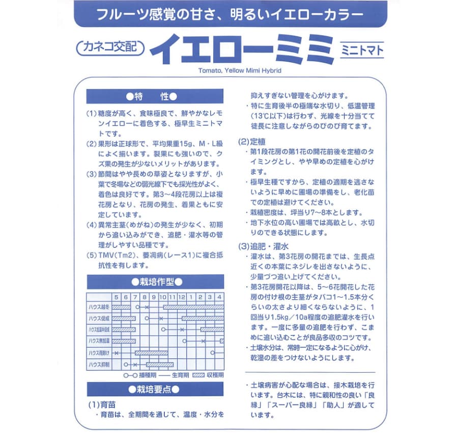 [送料無料](業務用・受注生産品)トマト：イエローミミ 100粒[野菜タネ]*