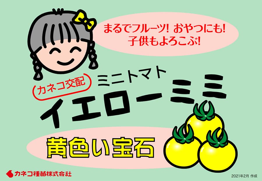[送料無料](業務用・受注生産品)トマト：イエローミミ 100粒[野菜タネ]*