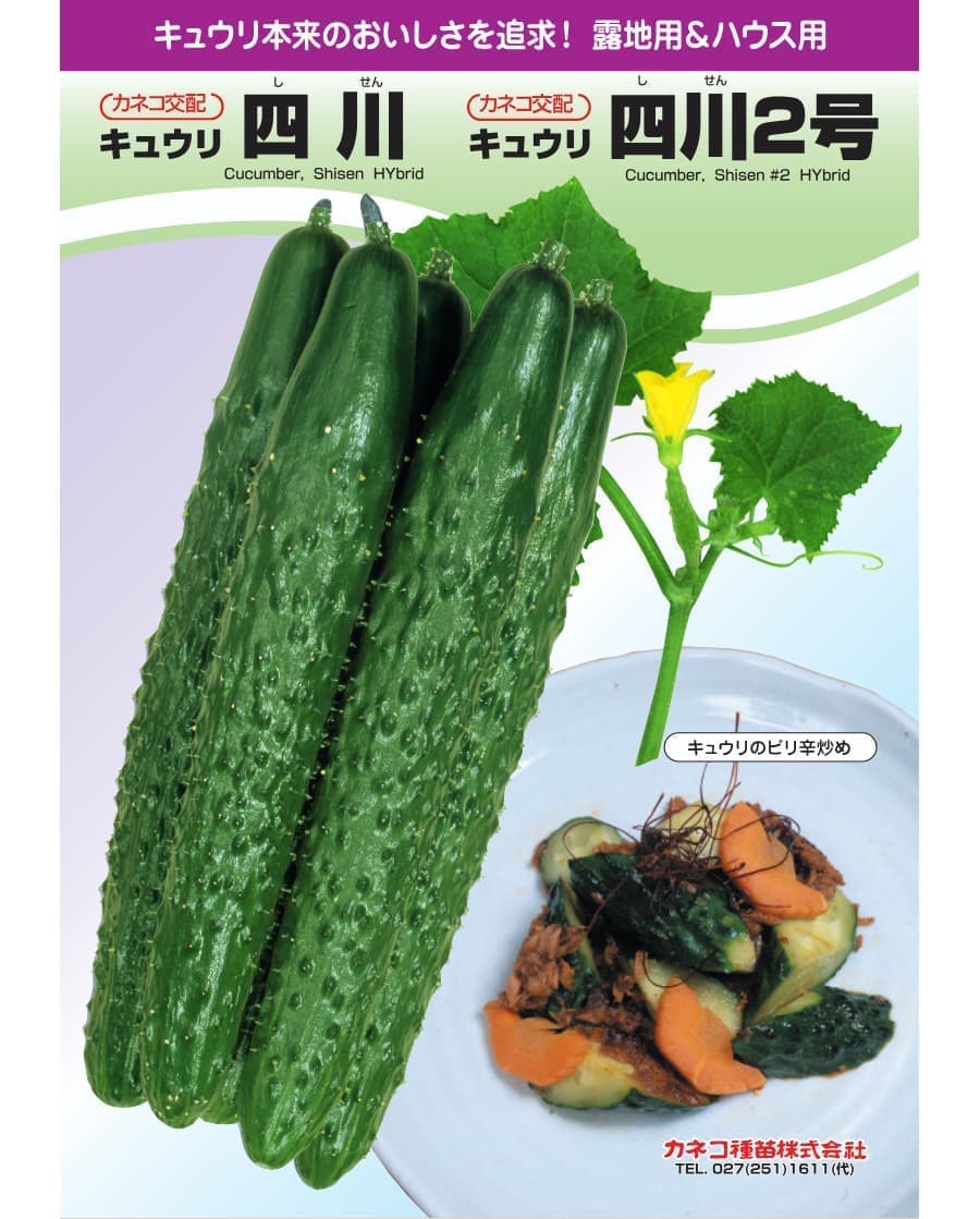 [送料無料](業務用・受注生産品)キュウリ：四川 350粒[野菜タネ]*