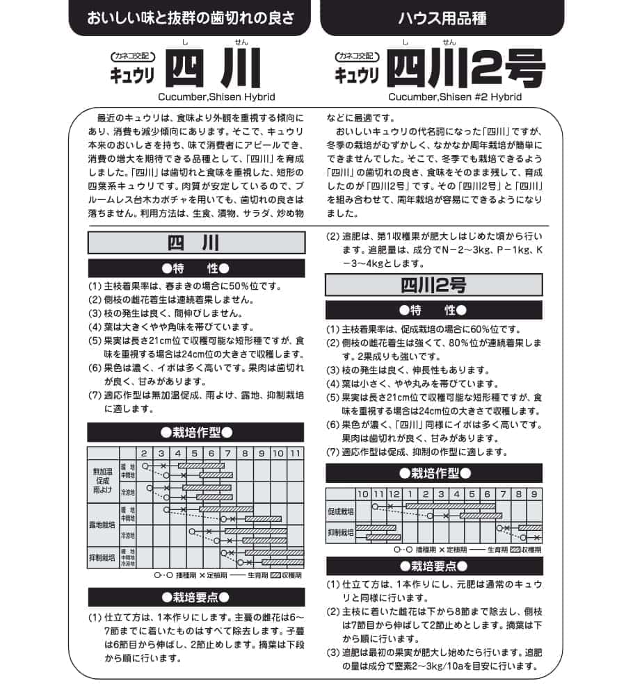 [送料無料](業務用・受注生産品)キュウリ：四川 350粒[野菜タネ]*