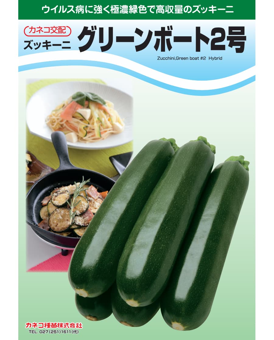 [送料無料](業務用・受注生産品)ズッキーニ：グリーンボート2号 100粒[野菜タネ]*