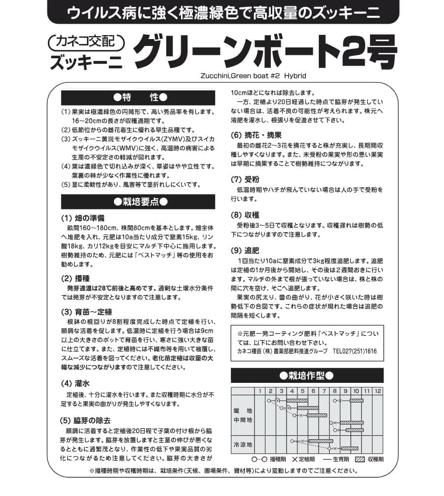 [送料無料](業務用・受注生産品)ズッキーニ：グリーンボート2号 100粒[野菜タネ]*