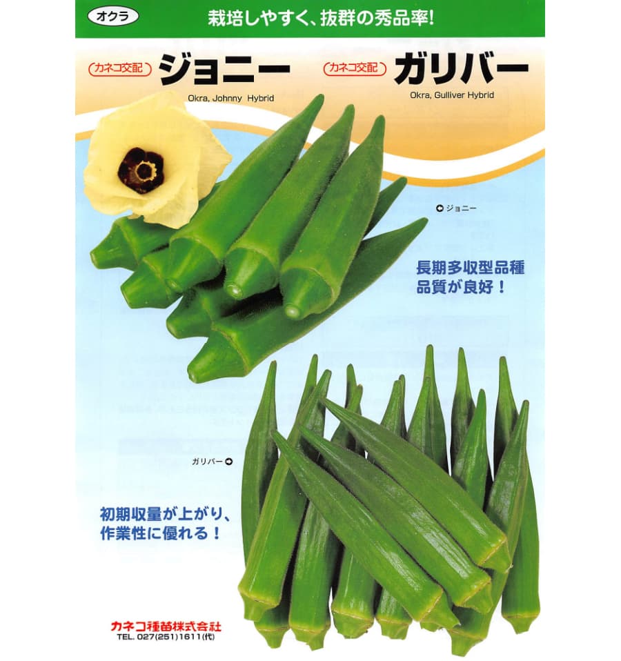 [送料無料](業務用・受注生産品)オクラ：ガリバー 20ml[野菜タネ]*