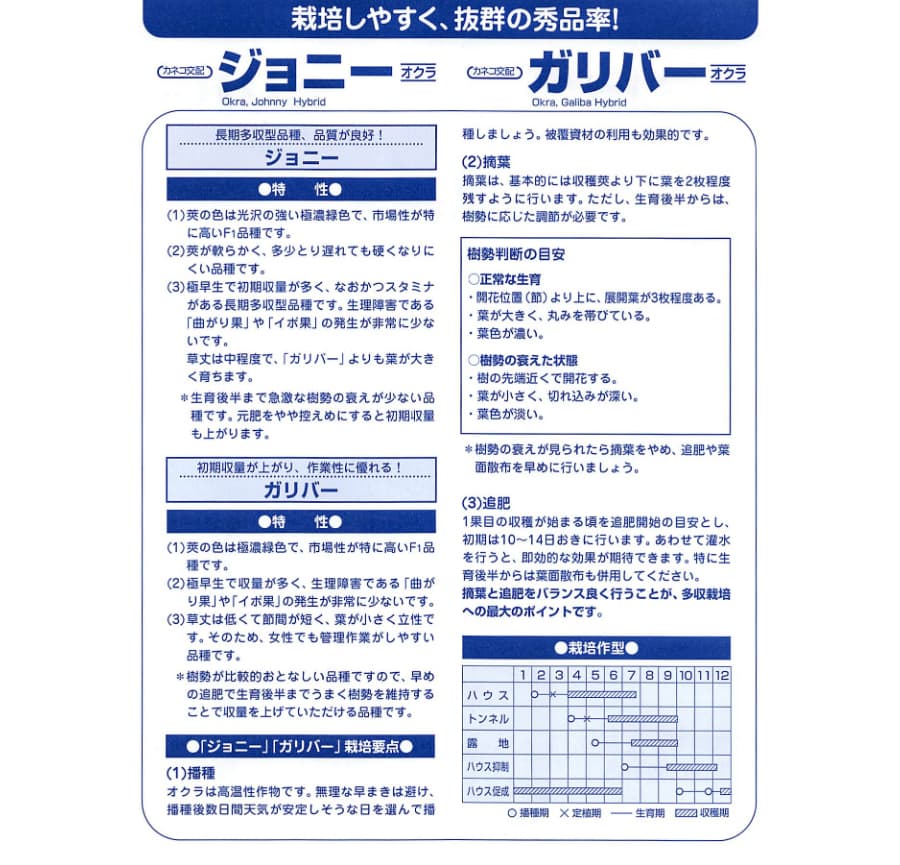 [送料無料](業務用・受注生産品)オクラ：ガリバー 20ml[野菜タネ]*