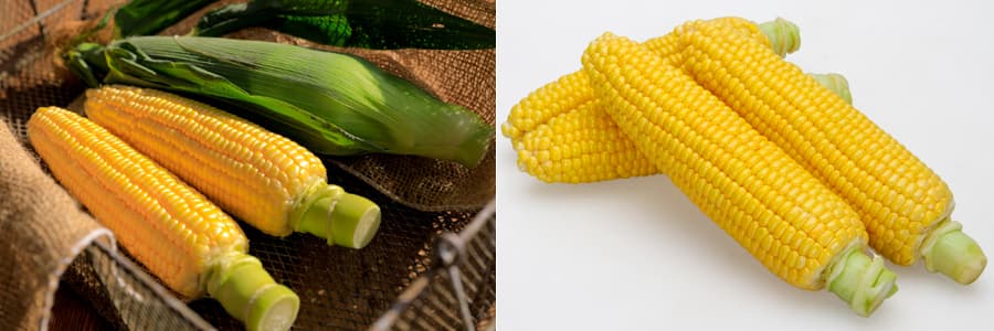 [送料無料](業務用・受注生産品)スイートコーン：わくわくコーン８２  100粒[野菜タネ]*