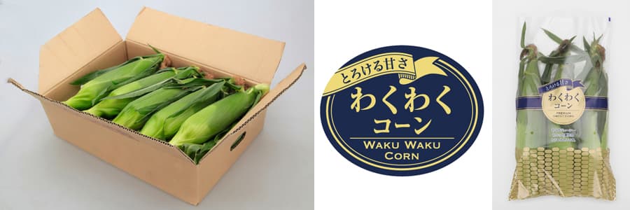 [送料無料](業務用・受注生産品)スイートコーン：わくわくコーン８２  100粒[野菜タネ]*