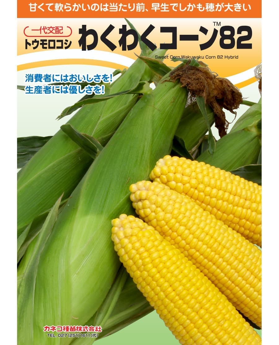[送料無料](業務用・受注生産品)スイートコーン：わくわくコーン８２  100粒[野菜タネ]*