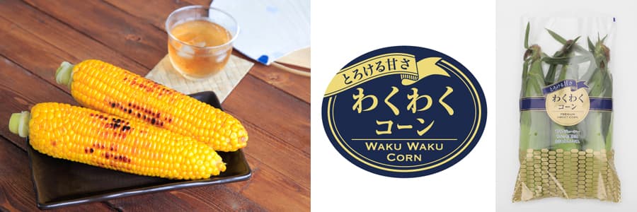 [送料無料](業務用・受注生産品)スイートコーン：わくわくコーン８８　 2000粒[野菜タネ]*