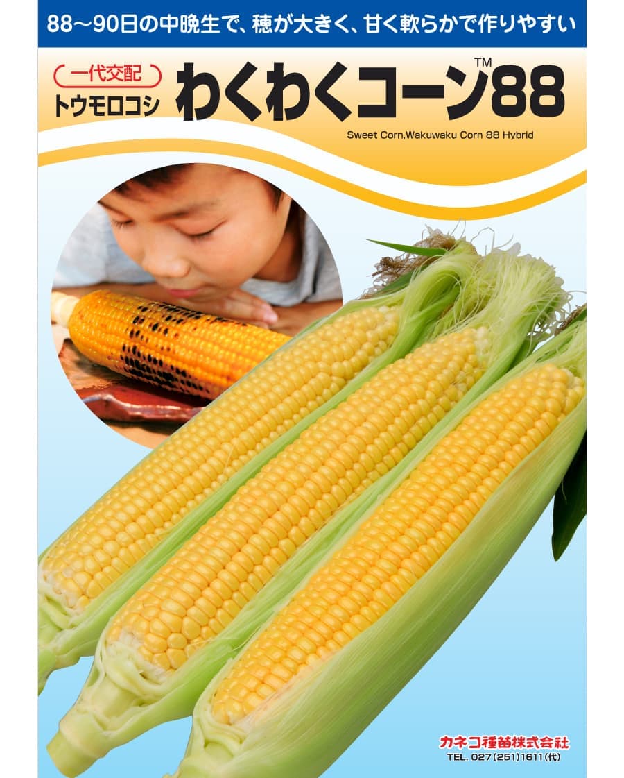 [送料無料](業務用・受注生産品)スイートコーン：わくわくコーン８８　 2000粒[野菜タネ]*