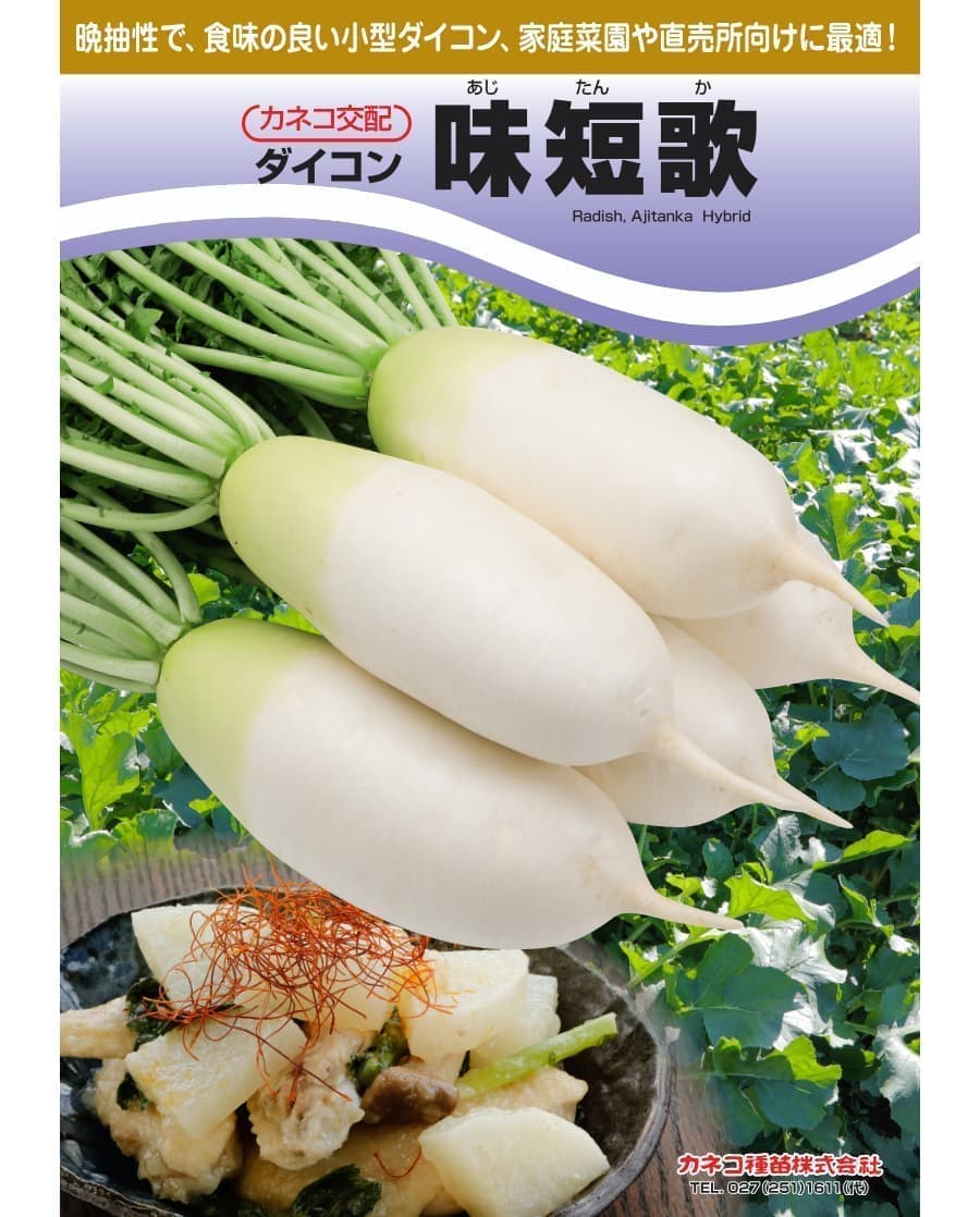 [送料無料](業務用・受注生産品)ダイコン：味短歌　ペレット5千粒[野菜タネ]*