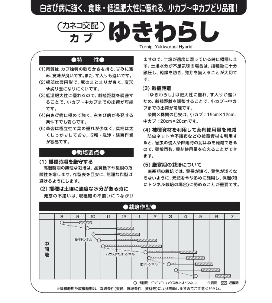 [送料無料](業務用・受注生産品)カブ種：ゆきわらし　1dl[野菜タネ]*