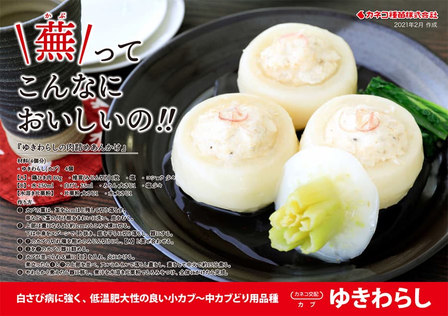 [送料無料](業務用・受注生産品)カブ種：ゆきわらし　1dl[野菜タネ]*