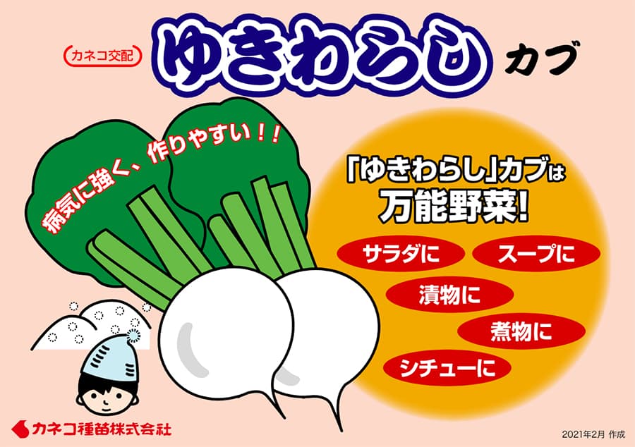 [送料無料](業務用・受注生産品)カブ種：ゆきわらし　1dl[野菜タネ]*